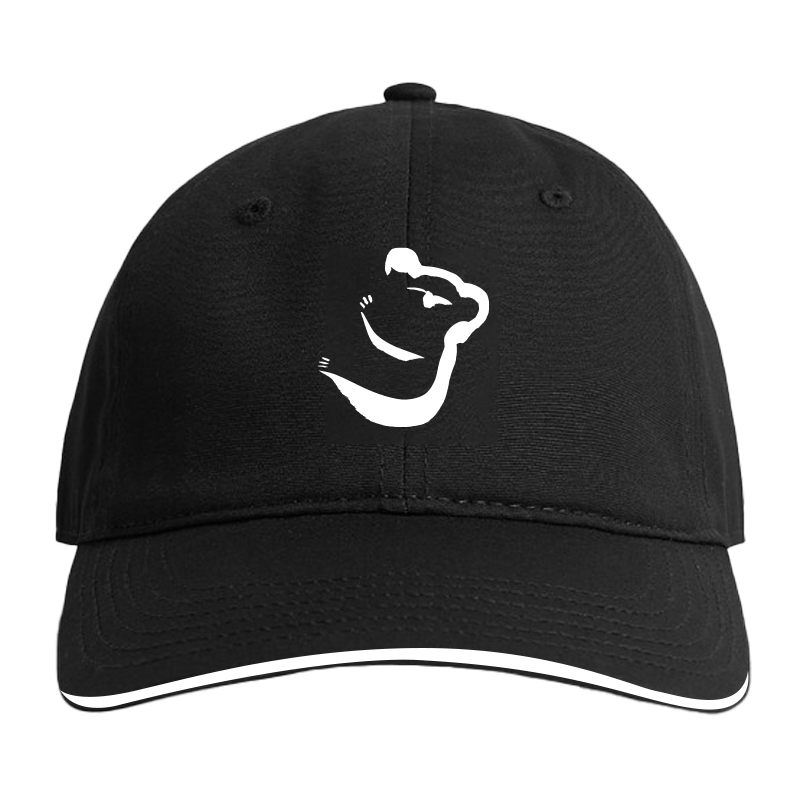 Weiss art Koala Baseball Cap